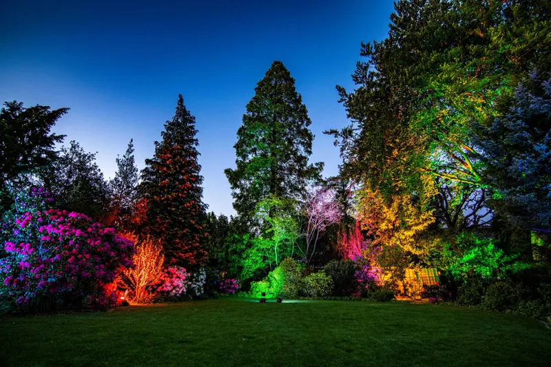 Lichtprojekt Nachtgarten