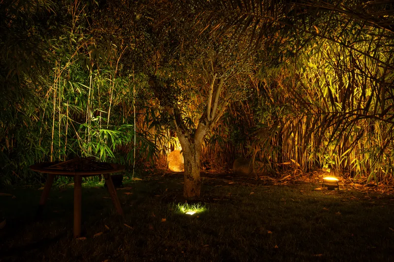 Aufnahme 3 von 5 aus dem Projekt Designer Garten Aufnahme 3 von 5 aus dem Projekt Designer Garten