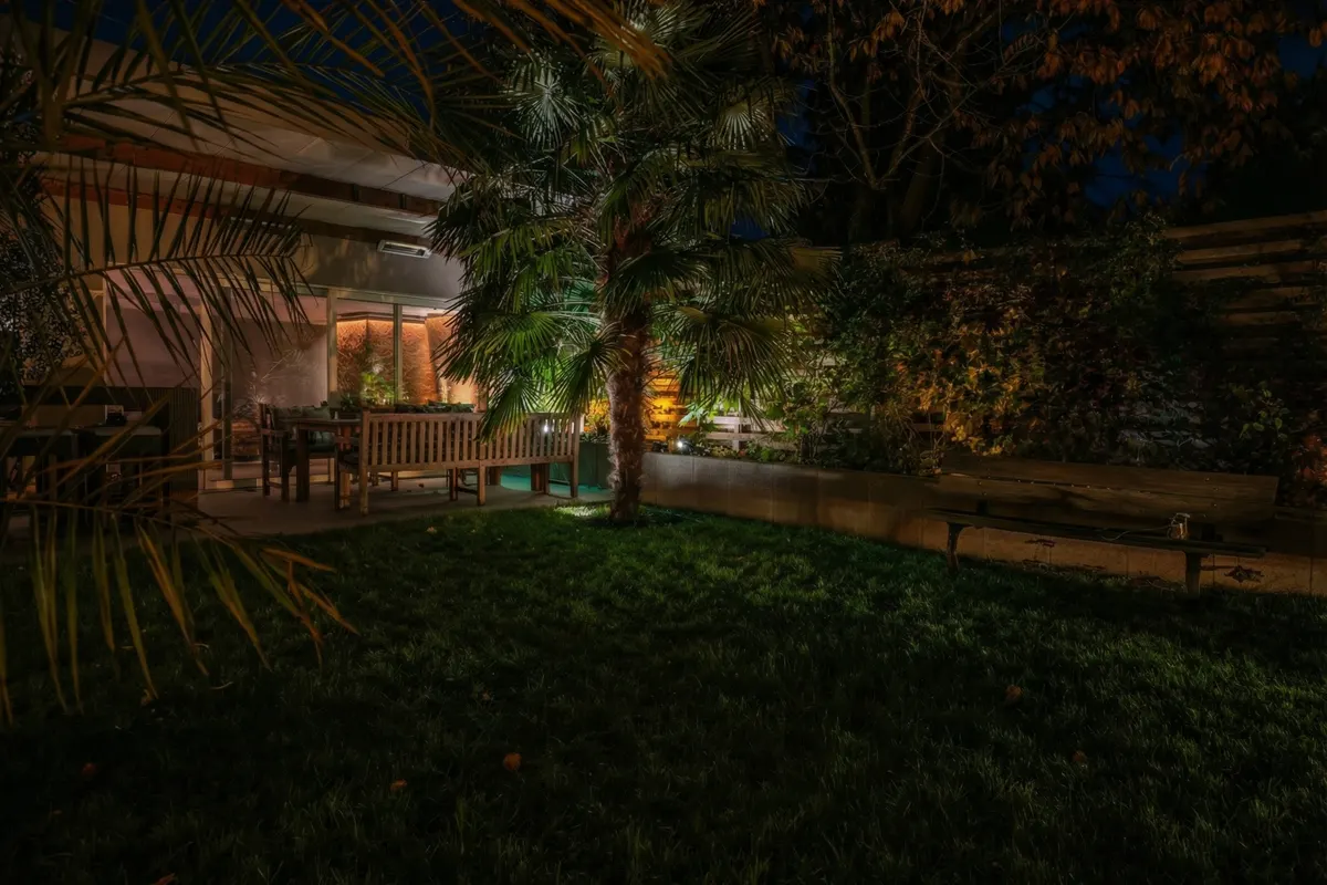 Terrasse mit Palme ohne das Lichtkonzept